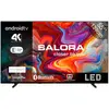 Image de Salora SMART55TV