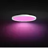 Image de Philips Hue Surimu 929003598101