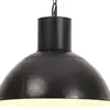 Image de vidaXL Lampe suspendue - Noir Rond