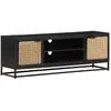 Image de vidaXL Meuble TV - Bois de Manguier - 120x30x40 cm