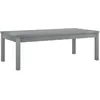 Image de vidaXL Table basse 100x50x33 cm - Gris