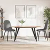 Image de VidaXL Lot de 2 Chaises - Gris