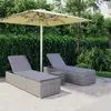 Image de VidaXL Chaises longues et table à thé - Gris