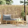 Image de VIDAXL Salon de jardin 3 pcs - Gris foncé