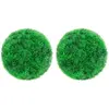 Image de vidaXL Boules de buis artificielles 22 cm