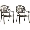 Image de vidaXL Chaises de jardin - Lot de 2 - Bronze