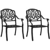 Image de vidaXL Chaises de jardin aluminium