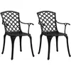 Image de vidaXL Chaises de jardin lot de 2 - Noir
