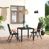 Image de vidaXL Ensemble à manger de jardin 3 pcs
