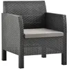 Image de vidaXL Chaise jardin - Polypropylène Anthracite