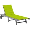 Image de vidaXL Chaise longue avec coussin - Acacia gris