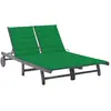 Image de vidaXL Chaise Longue de Jardin 2 Places - Gris Acacia