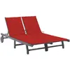 Image de vidaXL Chaise Longue de Jardin 2 Places - Gris Acacia
