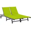 Image de VIDAXL Chaise longue de jardin - Gris