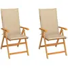 Image de Chaise de Jardin Pliable VidaXL - Lot de 2 - Bois de Teck