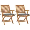 Image de vidaXL Chaises pliables jardin 2 pcs Gris