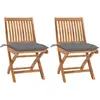 Image de VIDAXL Chaises de jardin Teck massif - Lot de 2