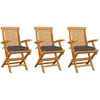 Image de vidaXL Chaises de jardin - Anthracite Teck