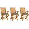 Image de vidaXL Chaises de jardin avec coussins gris - Lot de 3