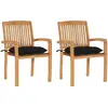 Image de vidaXL Chaises de jardin - Lot de 2