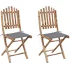Image de vidaXL Chaises pliables avec coussins - Lot de 2 - Bambou