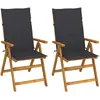Image de vidaXL Chaises de jardin inclinables - Lot de 2 - Anthracite