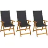Image de vidaXL Chaises de jardin anthracite