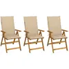 Image de vidaXL Chaises pliables de jardin - Lot de 3 - Bois beige
