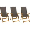 Image de vidaXL Chaises pliables de jardin lot de 3