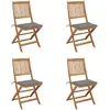 Image de vidaXL Chaises pliables - Acacia massif avec coussins