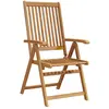 Image de vidaXL Chaises pliables de jardin lot de 4