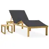 Image de vidaXL Chaise longue avec table - Anthracite