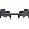 Image de vidaXL Salon de jardin 3 pcs - Anthracite