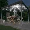 Image de vidaXL Tonnelle avec guirlande LED 300x300 cm Anthracite