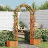 Image de vidaXL Pergola de jardin avec jardinière