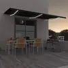 Image de vidaXL Auvent manuel rétractable avec LED 600x350 cm Anthracite