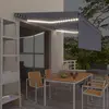 Image de vidaXL Auvent manuel avec store et LED - Bleu et blanc