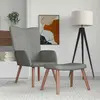 Image de vidaXL Chaise de Relaxation Gris Clair Velours