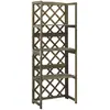 Image de vidaXL Treillis avec étagères 55x30x140 cm - Bois