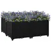 Image de vidaXL Lit surélevé - 80x80x38 cm - Polypropylène