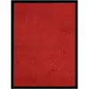 Image de vidaXL Paillasson 60x80 Rouge