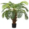 Image de vidaXL Palmier Cycas