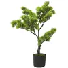 Image de vidaXL Bonsaï de pin artificiel 60 cm