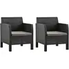 Image de vidaXL Chaises de jardin avec coussins lot de 2 Rotin anthracite