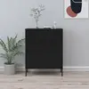 Image de vidaXL Noir Acier