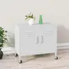 Image de VidaXL Armoire de Rangement - Acier