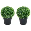 Image de VidaXL Buis 2 pcs boules