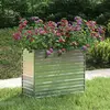 Image de vidaXL Lit de Jardin - Argenté 100x40x77 cm