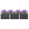 Image de vidaXL Plate-forme jardin 300x50x54 cm