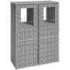 Image de vidaXL Gabion à paniers 2 pièces - Fer